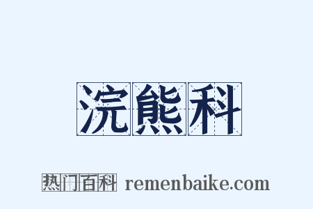 浣熊科是什么意思的图片